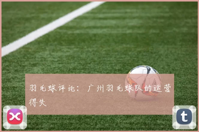 羽毛球评论：广州羽毛球队的运营得失