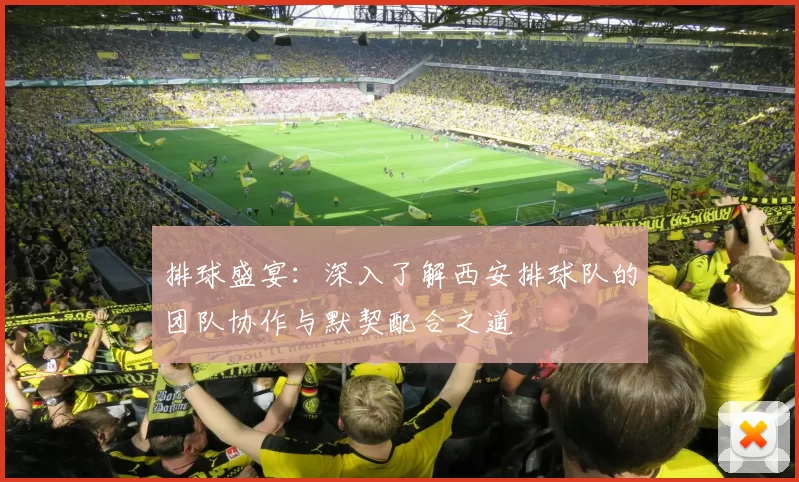 排球盛宴：深入了解西安排球队的团队协作与默契配合之道